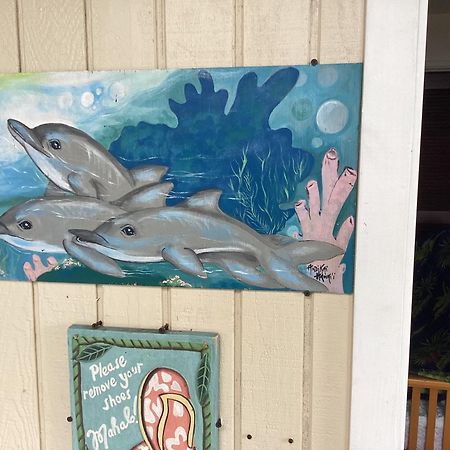 Kona Hawaii Guest House A Unique Hawaii Experience Keauhou Εξωτερικό φωτογραφία
