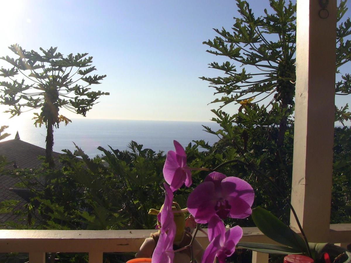 Kona Hawaii Guest House A Unique Hawaii Experience Keauhou Εξωτερικό φωτογραφία