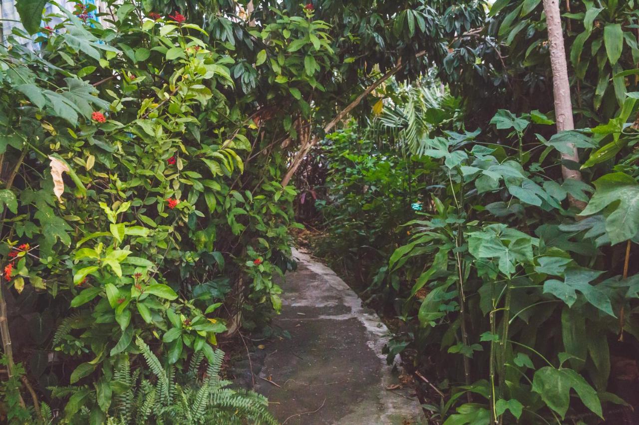 Kona Hawaii Guest House A Unique Hawaii Experience Keauhou Εξωτερικό φωτογραφία