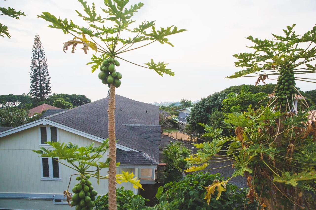 Kona Hawaii Guest House A Unique Hawaii Experience Keauhou Εξωτερικό φωτογραφία