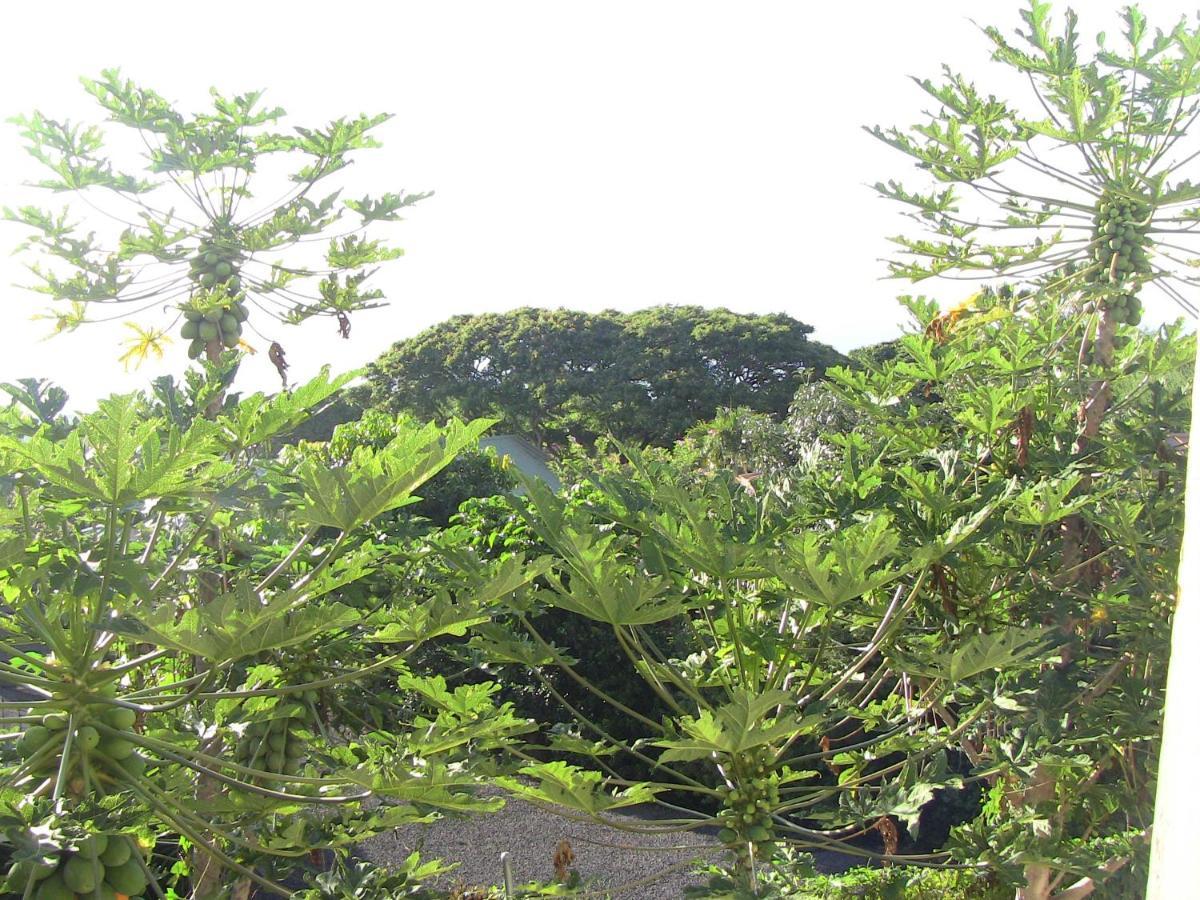 Kona Hawaii Guest House A Unique Hawaii Experience Keauhou Εξωτερικό φωτογραφία