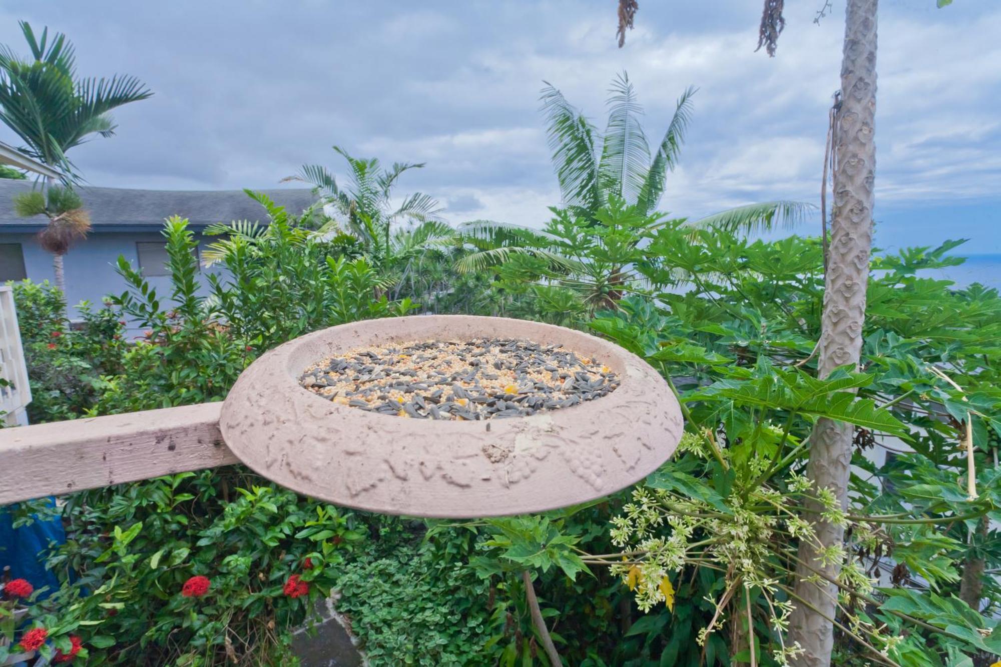 Kona Hawaii Guest House A Unique Hawaii Experience Keauhou Εξωτερικό φωτογραφία